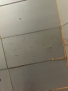 Boysex227 online show from November 2025 07:34:02 AM