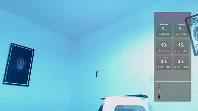 SilvaBranko online show from December 2024 01:01:02 AM