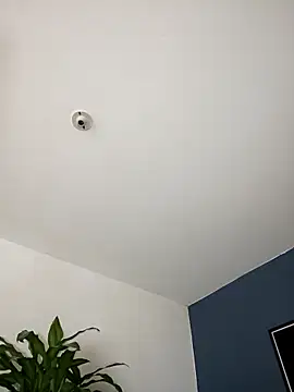 SilvaBranko online show from November 2025 11:07:02 PM