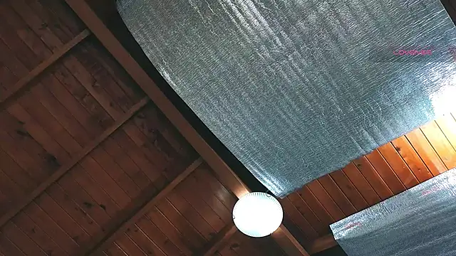 SilvaBranko online show from April 2026 01:05:01 AM