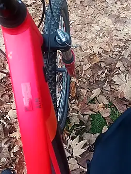 maleesa online show from November 2025 06:27:01 AM