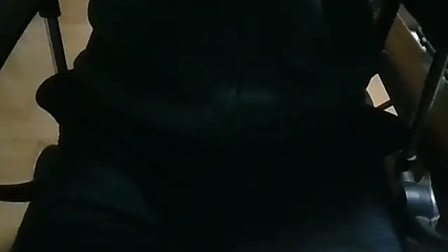 Snapshot of shibayam chatting on April 2026 04:29:01 PM shibayam online show from April 2026 04:29:01 PM