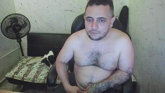  ace ventura online show from December 2025 04:51:01 AM