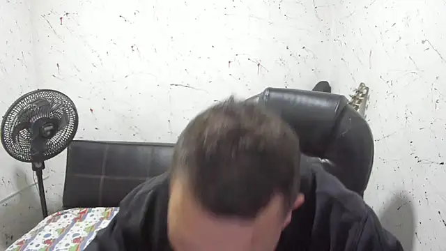  ace ventura online show from December 2025 03:57:01 AM