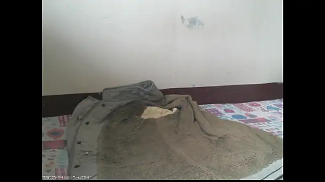 Snapshot of triangle0623 chatting on December 2025 05:47:01 AM triangle0623 online show from December 2025 05:47:01 AM