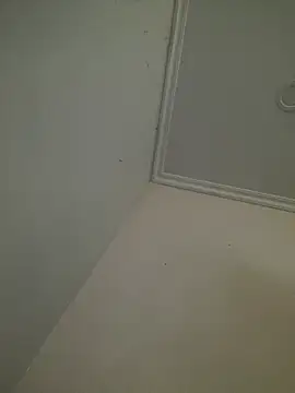 CieloTaylor online show from February 2026 10:25:02 AM