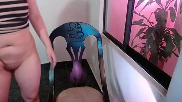 mailer parsonss online show from January 2026 03:14:01 PM