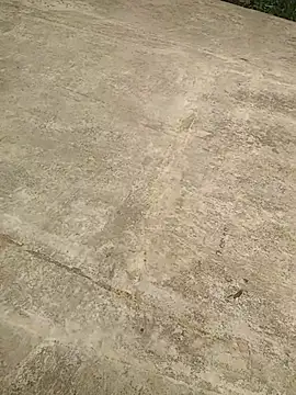 Mafiya1604 online show from September 2025 07:32:01 AM