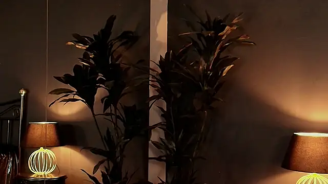 MyMayte online show from January 2025 12:36:01 PM