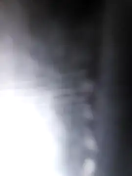 studboy1111 online show from December 2024 06:46:01 PM