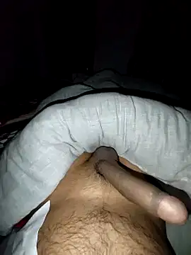 studboy1111 online show from January 2025 11:56:02 PM