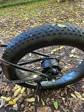 Shyboy817 online show from October 2025 02:20:01 PM