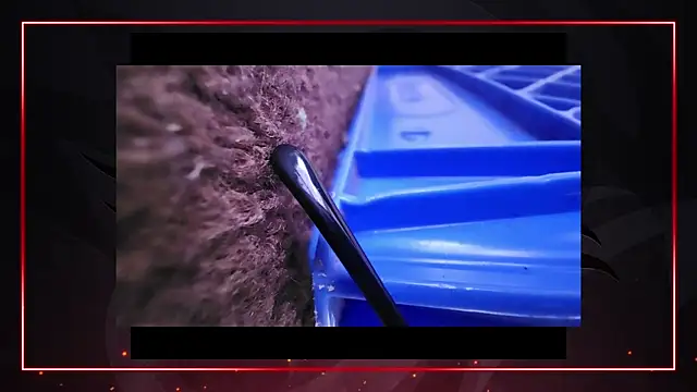 AriellaTaylor online show from December 2024 04:42:01 PM