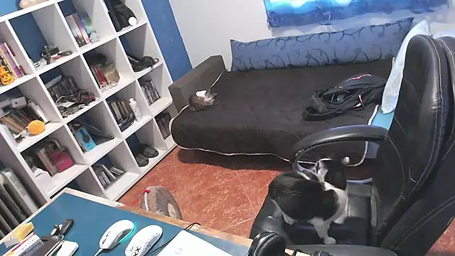 ravingr4d4 online show from October 2025 03:19:01 PM