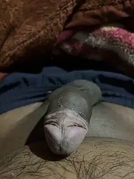 delhiboyz1 online show from February 2025 07:49:01 PM