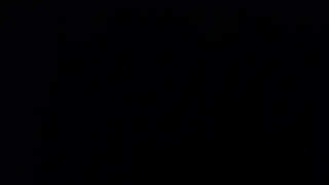 zacwatson  online show from January 2025 06:03:02 AM