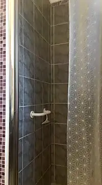 pachapeter online show from February 2025 03:25:02 PM