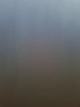 pachapeter online show from April 2026 12:52:02 PM