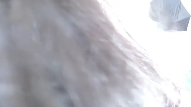 michel cardona online show from December 2024 11:08:02 PM