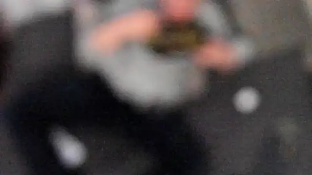 stillwild online show from February 2025 04:42:01 AM