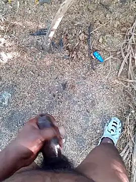 Ajith mvi online show from April 2026 02:31:01 AM