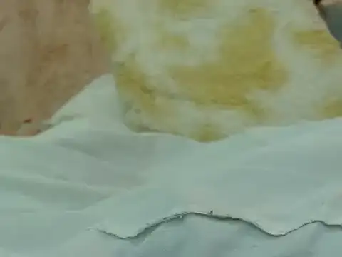 hairy pussywet online show from February 2025 12:40:01 AM