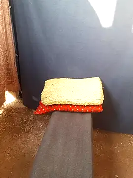 Burhade-- online show from October 2025 11:31:01 AM