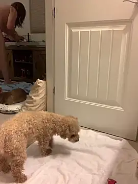 balad13 online show from January 2025 04:32:01 AM