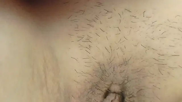 sonyx online show from November 2025 04:53:01 PM