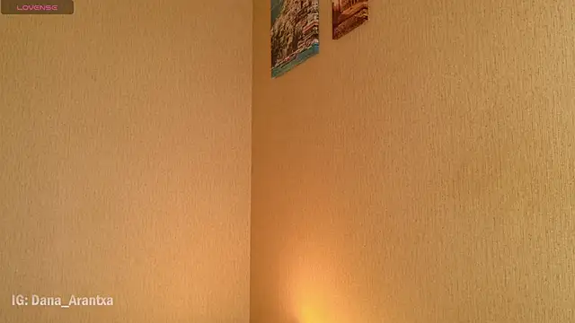 DanArant online show from October 2025 08:51:02 PM