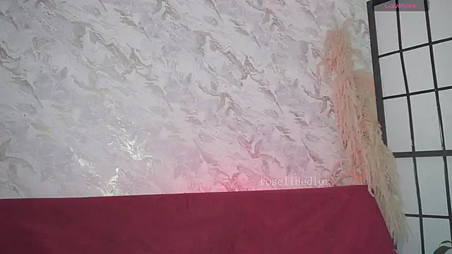 roselinedior online show from March 2026 04:24:02 PM