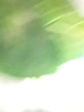 Snapshot of Wanda_and_cosmo_ chatting on March 2025 08:55:01 PM Wanda and cosmo online show from March 2025 08:55:01 PM