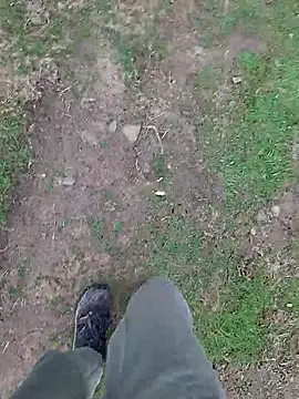 FreezingTie850 online show from April 2026 08:19:01 AM