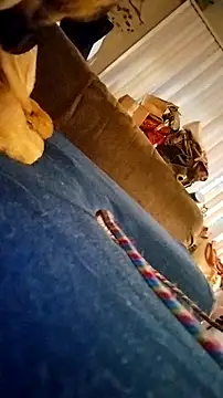 Snapshot of fukurbutt chatting on February 2026 03:41:02 PM fukurbutt online show from February 2026 03:41:02 PM