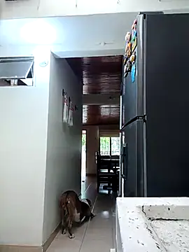 sebasxx97 online show from February 2026 11:59:01 AM