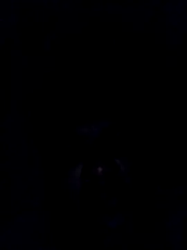 findmemylove online show from December 2024 08:15:02 PM