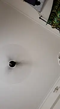 findmemylove online show from January 2025 10:46:02 PM