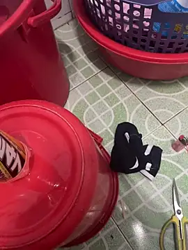 thien1902 online show from November 2025 11:22:02 AM