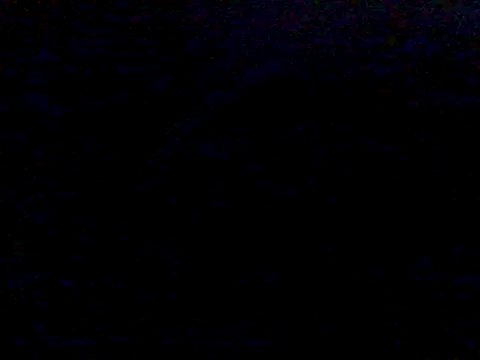 mariy  online show from March 2025 01:42:02 AM