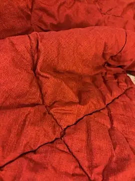 Brazilli online show from January 2026 09:16:02 PM