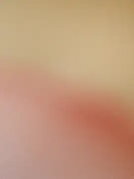 Snapshot of zhenzhen521 chatting on May 2026 03:18:01 PM zhenzhen521 online show from May 2026 03:18:01 PM