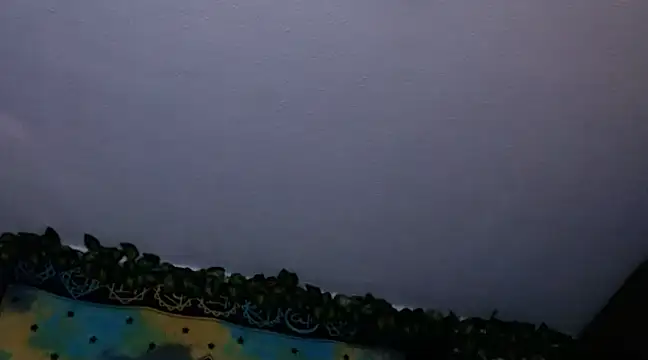 chanel 1041 online show from December 2024 08:00:02 PM