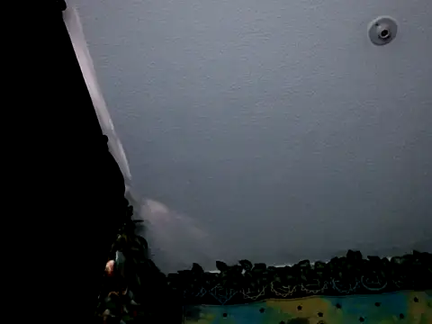 chanel 1041 online show from January 2025 09:36:02 PM