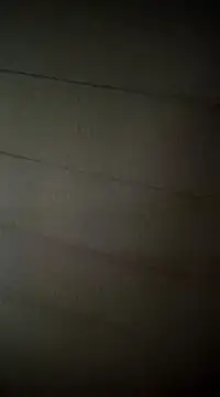 Snapshot of poussychats chatting on February 2025 05:04:01 AM poussychats online show from February 2025 05:04:01 AM