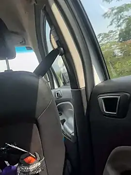 Rose-euphoria online show from March 2025 08:00:02 PM