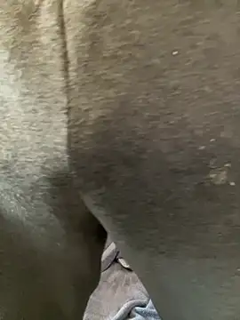 Enos3 online show from April 2026 11:55:02 AM