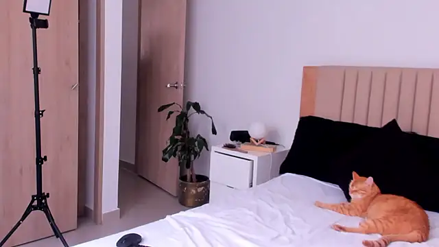 AnaHenao online show from October 2025 08:18:01 PM