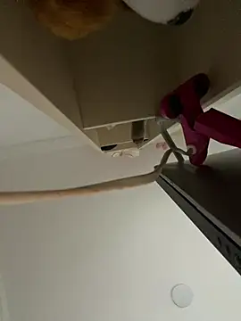 Snapshot of Kimmymadison- chatting on February 2026 08:27:02 PM Kimmymadison- online show from February 2026 08:27:02 PM