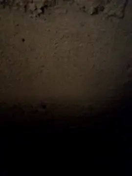 camila picante online show from March 2026 03:56:01 PM