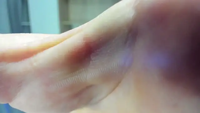 Alex Madrid online show from February 2025 03:38:01 PM